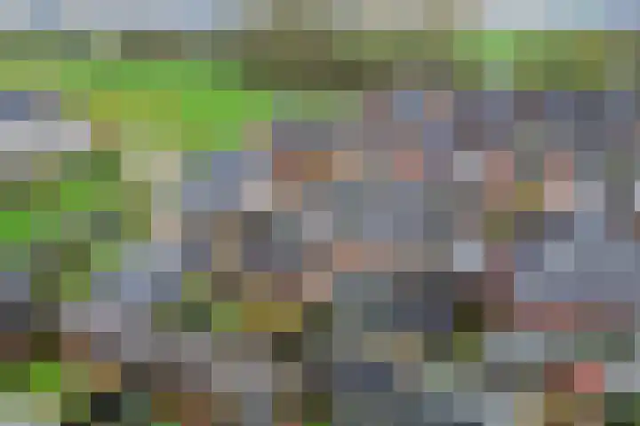 Koarstmoas 9 A Surhuisterveen thumbnail 51