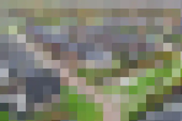 Koarstmoas 9 A Surhuisterveen thumbnail 52