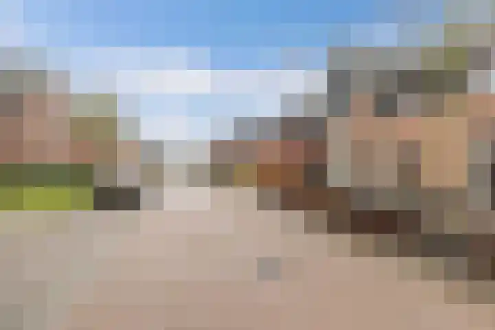 Koarstmoas 9 A Surhuisterveen thumbnail 53