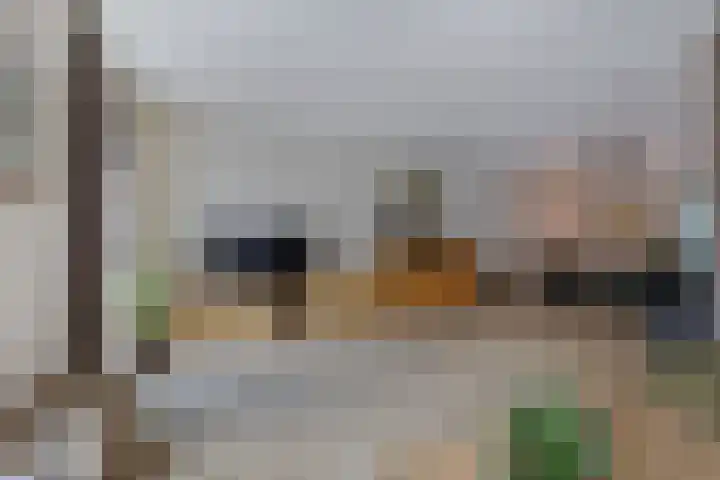 Koarstmoas 9 A Surhuisterveen thumbnail 6