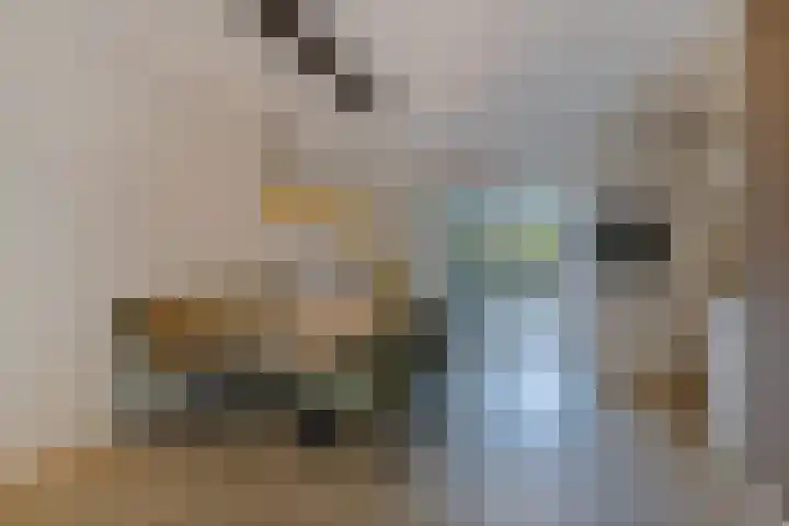 Koarstmoas 9 A Surhuisterveen thumbnail 9