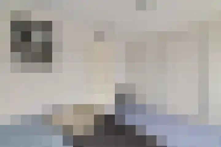 Koarte Baan 20 Ureterp thumbnail 21