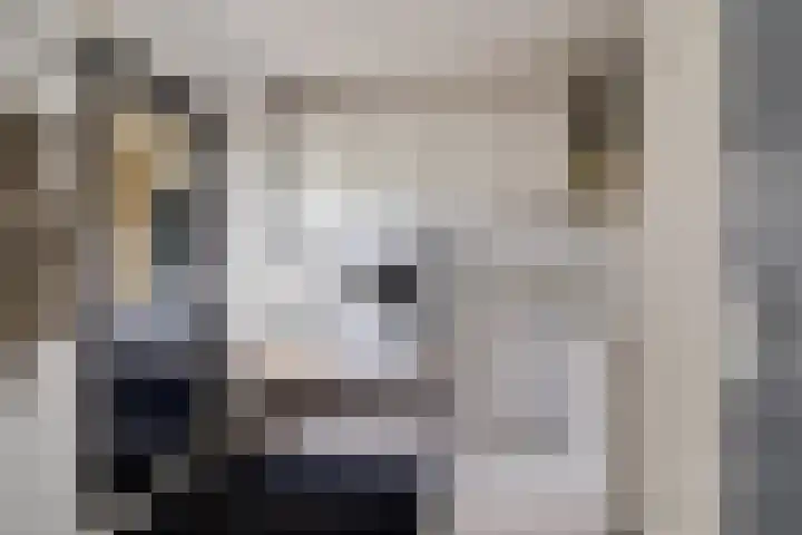 Koarte Baan 20 Ureterp thumbnail 27