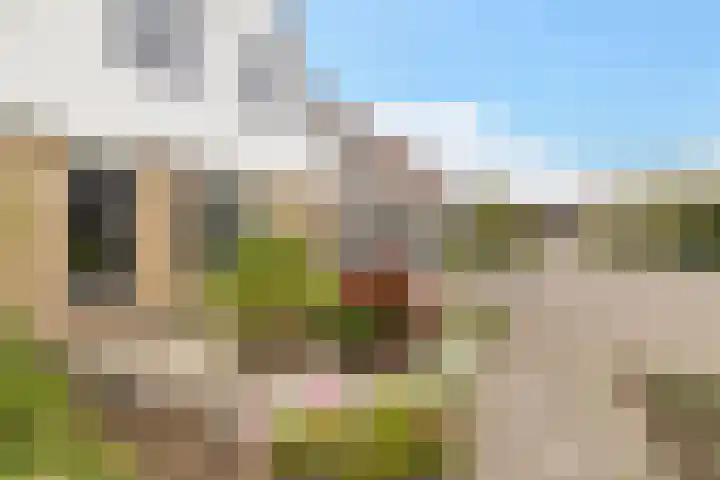 Koarte Baan 20 Ureterp thumbnail 35
