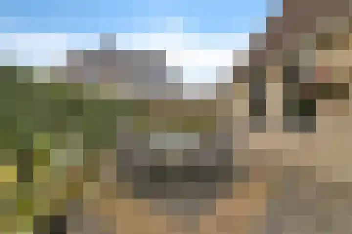 Koarte Baan 20 Ureterp thumbnail 38