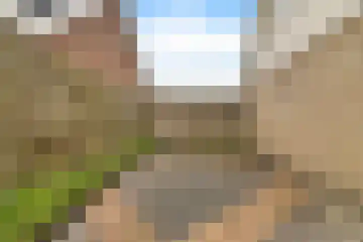 Koarte Baan 20 Ureterp thumbnail 40