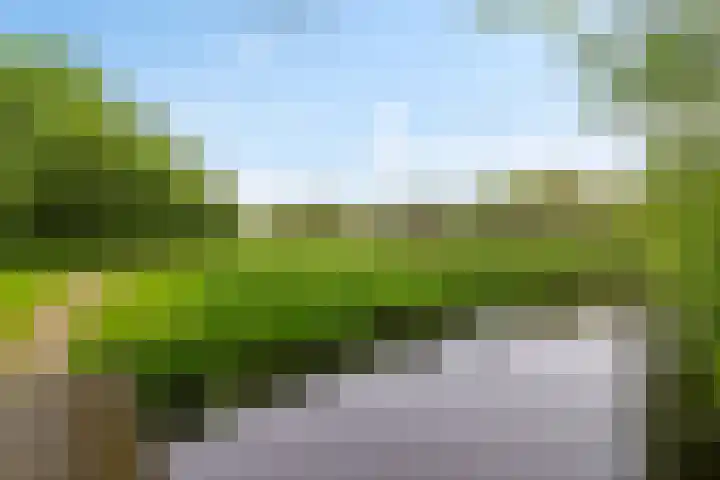 Koarte Baan 20 Ureterp thumbnail 41