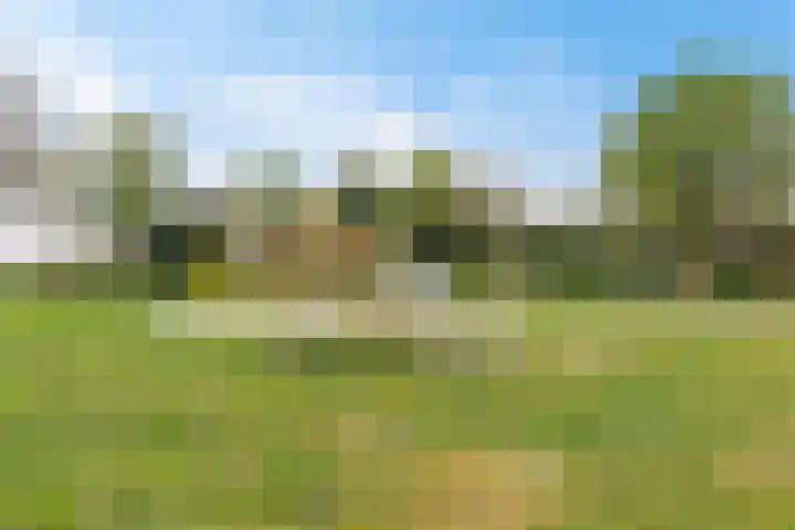 Koarte Baan 20 Ureterp thumbnail 42