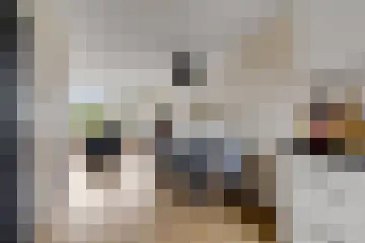 Koarte Baan 20 Ureterp thumbnail 7