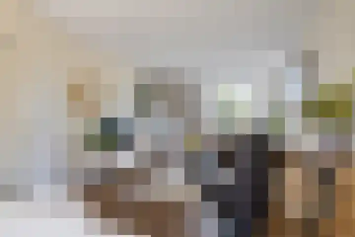 Koarte Miente 5 Akkrum thumbnail 10