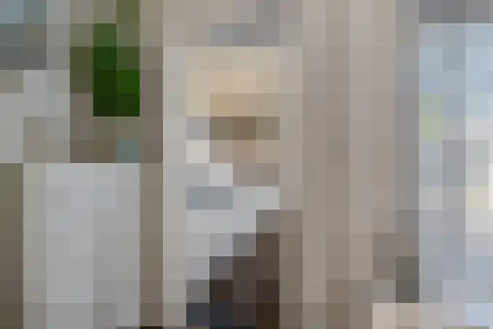 Koarte Miente 5 Akkrum thumbnail 14