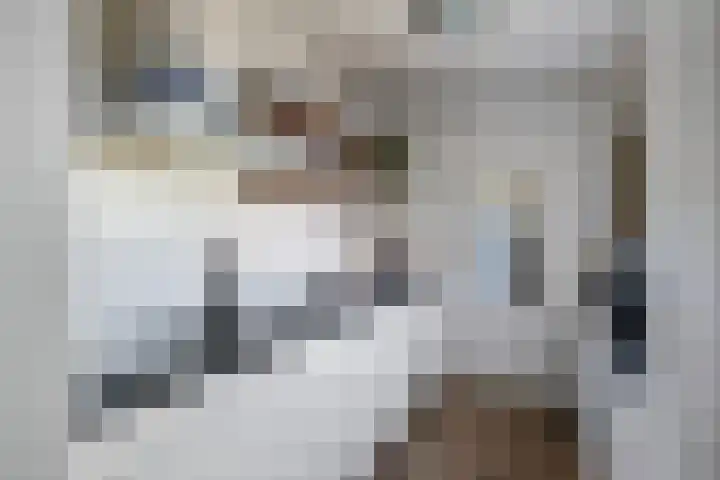 Koarte Miente 5 Akkrum thumbnail 15