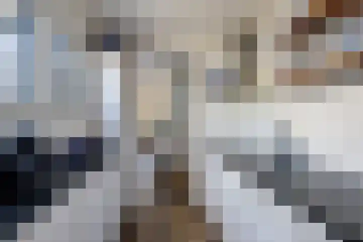 Koarte Miente 5 Akkrum thumbnail 16