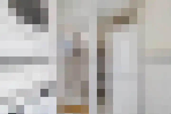 Koarte Miente 5 Akkrum thumbnail 17