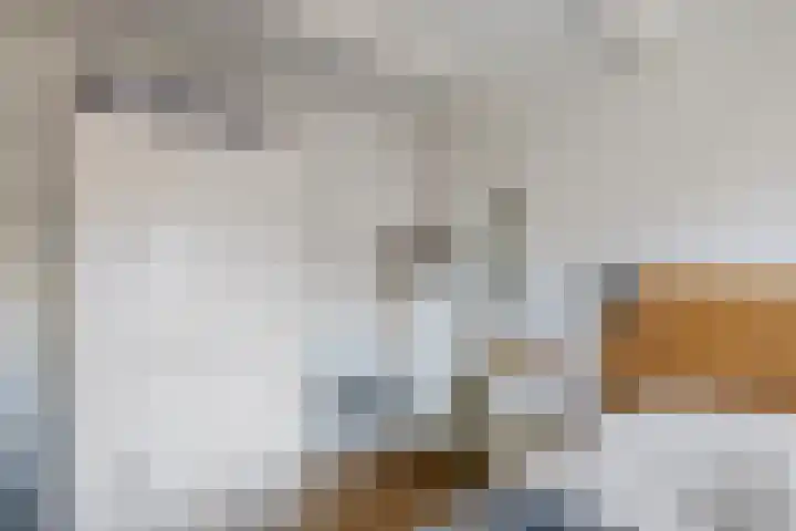 Koarte Miente 5 Akkrum thumbnail 21