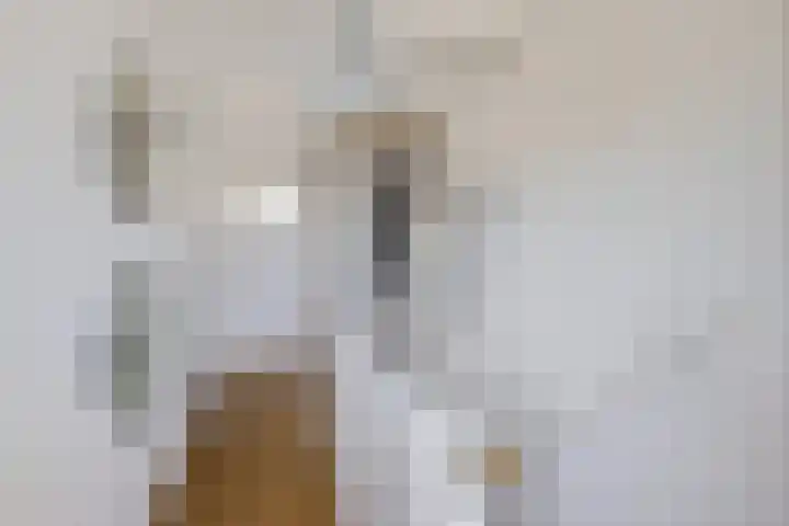 Koarte Miente 5 Akkrum thumbnail 26