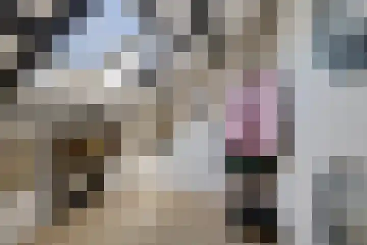 Koarte Miente 5 Akkrum thumbnail 28
