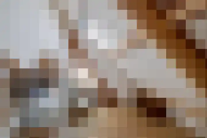 Koarte Miente 5 Akkrum thumbnail 29