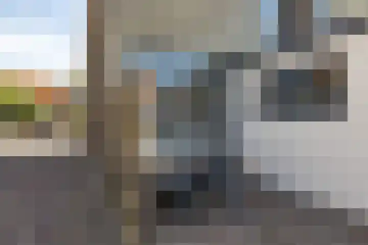 Koarte Miente 5 Akkrum thumbnail 33