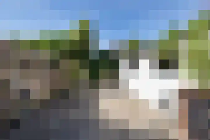 Koarte Miente 5 Akkrum thumbnail 39