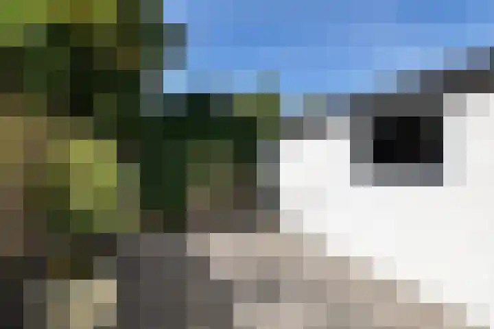 Koarte Miente 5 Akkrum thumbnail 40