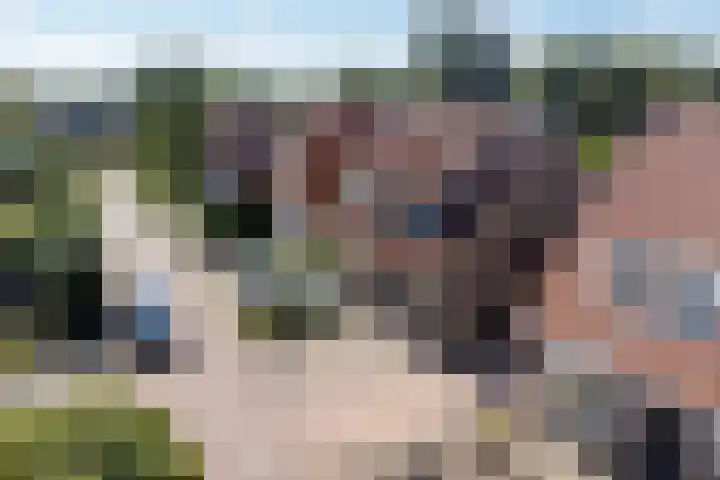 Koarte Miente 5 Akkrum thumbnail 41