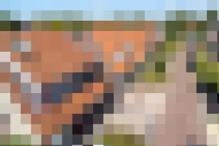 Koarte Miente 5 Akkrum thumbnail 43
