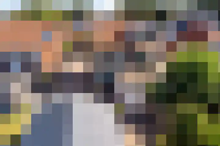 Koarte Miente 5 Akkrum thumbnail 44