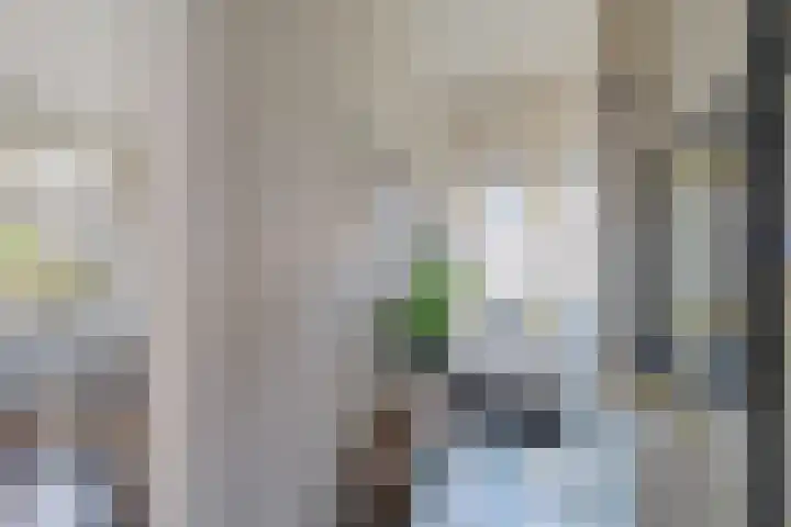 Koarte Miente 5 Akkrum thumbnail 7