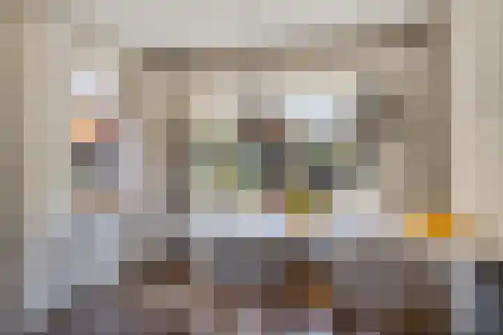 Koarte Miente 5 Akkrum thumbnail 8