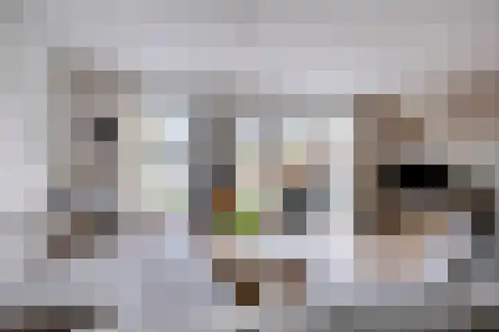 Koarte Singel 6 Bakkeveen thumbnail 11