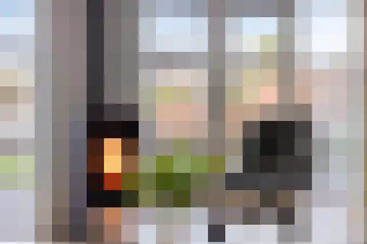 Koarte Singel 6 Bakkeveen thumbnail 12