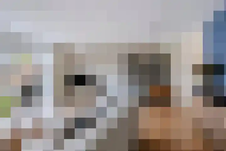 Koarte Singel 6 Bakkeveen thumbnail 13