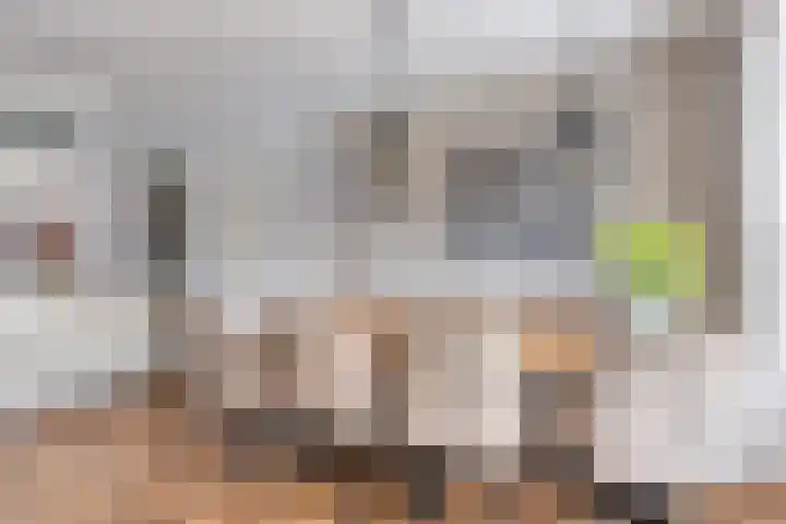 Koarte Singel 6 Bakkeveen thumbnail 19