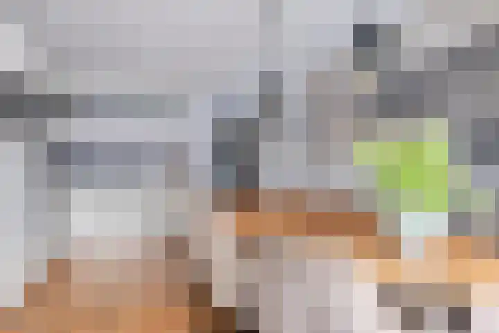 Koarte Singel 6 Bakkeveen thumbnail 20