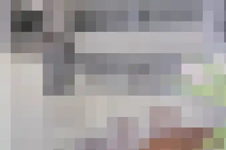 Koarte Singel 6 Bakkeveen thumbnail 21