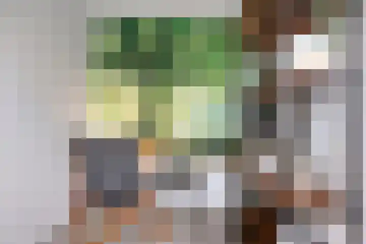 Koarte Singel 6 Bakkeveen thumbnail 27