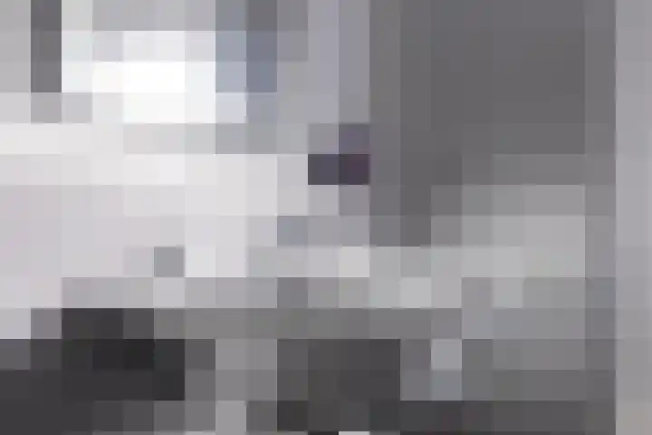 Koarte Singel 6 Bakkeveen thumbnail 37