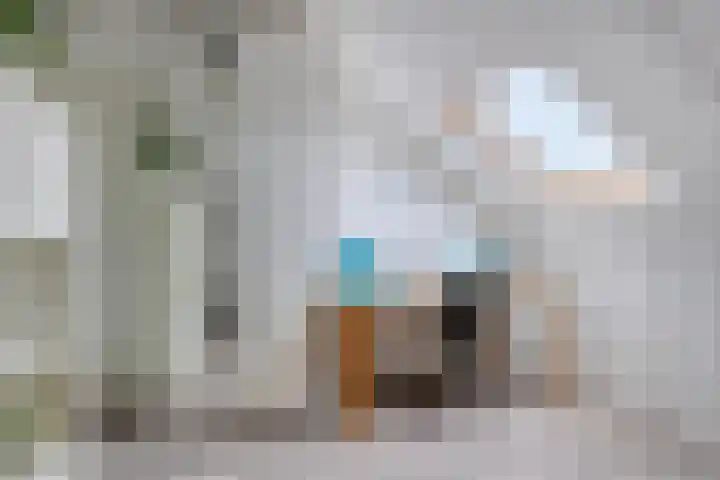 Koarte Singel 6 Bakkeveen thumbnail 49