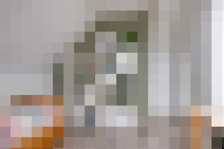 Koarte Singel 6 Bakkeveen thumbnail 50