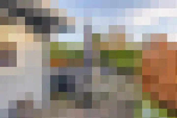 Koarte Singel 6 Bakkeveen thumbnail 54