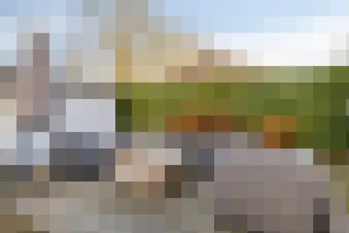 Koarte Singel 6 Bakkeveen thumbnail 55