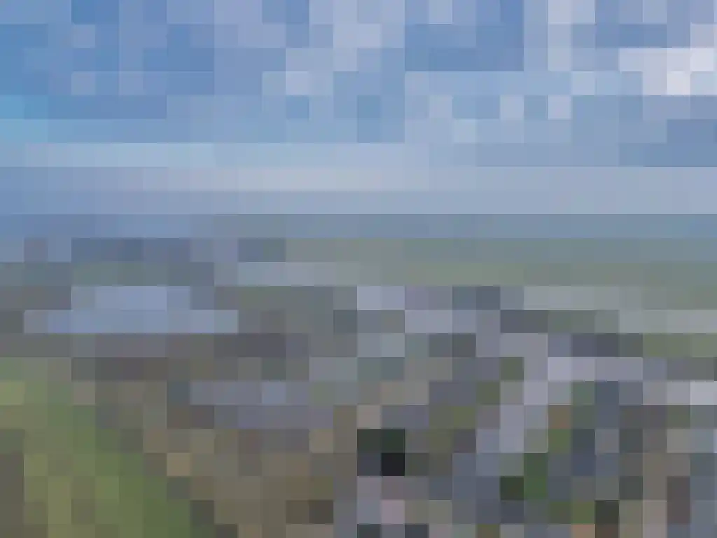 Koartebaen 11 RECR Uitwellingerga thumbnail 59