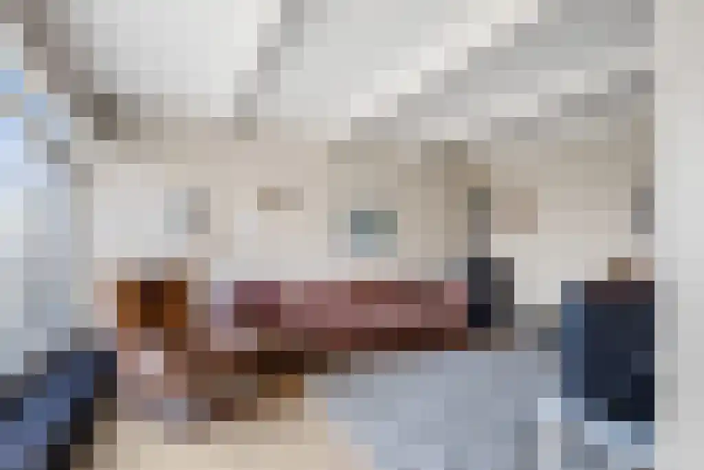 Koartebaen 11 Uitwellingerga thumbnail 13