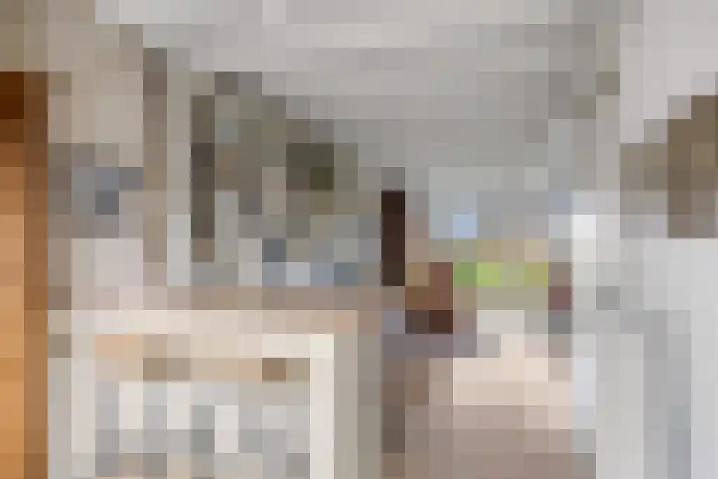 Koartebaen 11 Uitwellingerga thumbnail 19