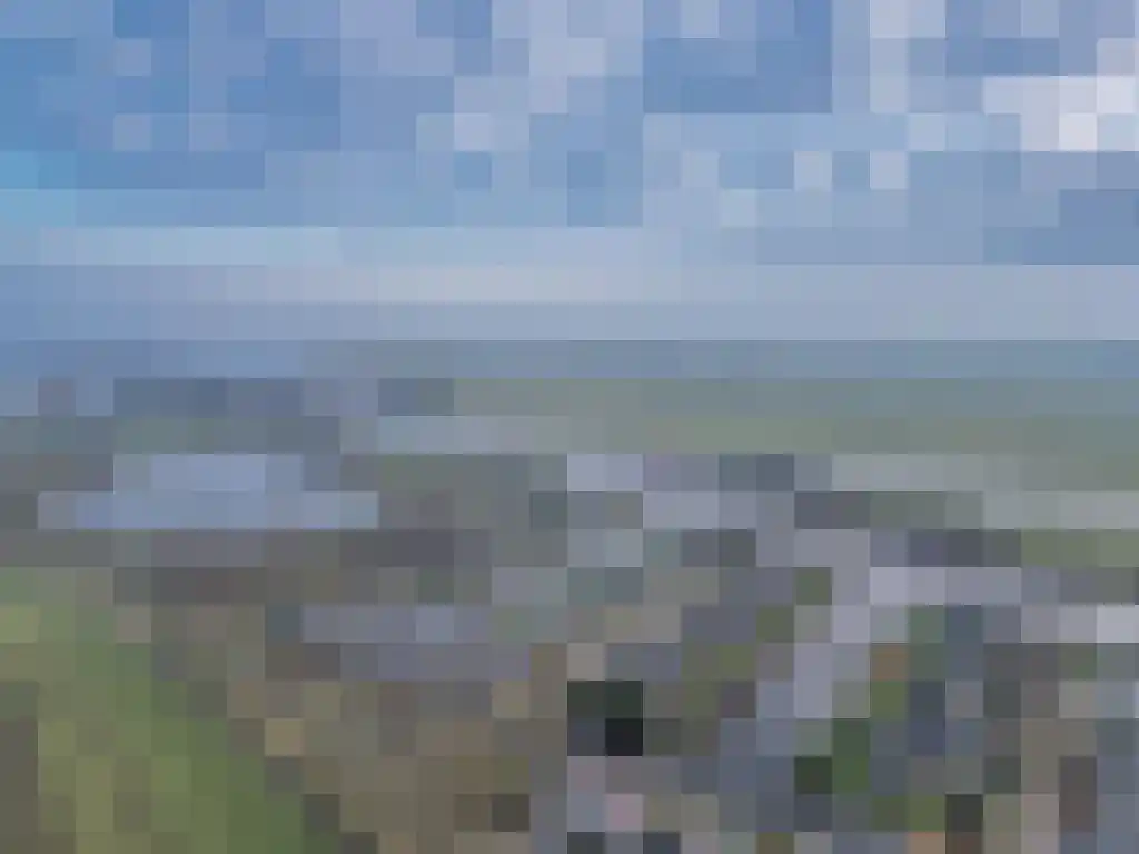 Koartebaen 11 Uitwellingerga thumbnail 59