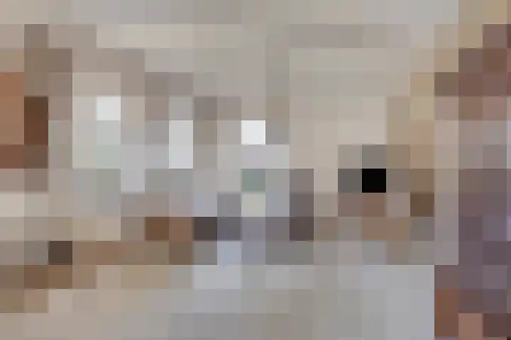 Koarteloane 3 Kollumersweach thumbnail 10