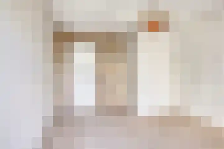 Koarteloane 3 Kollumersweach thumbnail 16