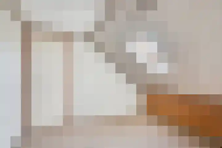 Koarteloane 3 Kollumersweach thumbnail 25