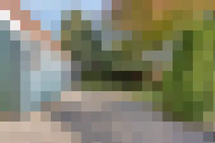 Koarteloane 3 Kollumersweach thumbnail 27